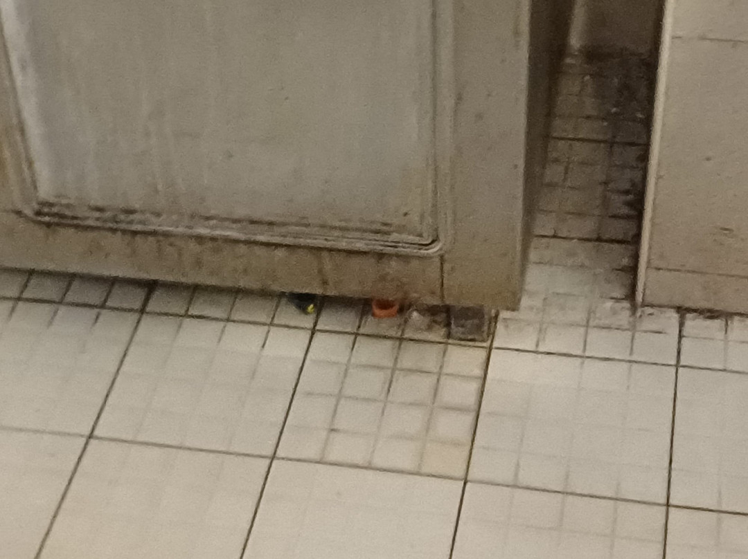 Monastir Medina (old Town)-摩纳斯特必去景点