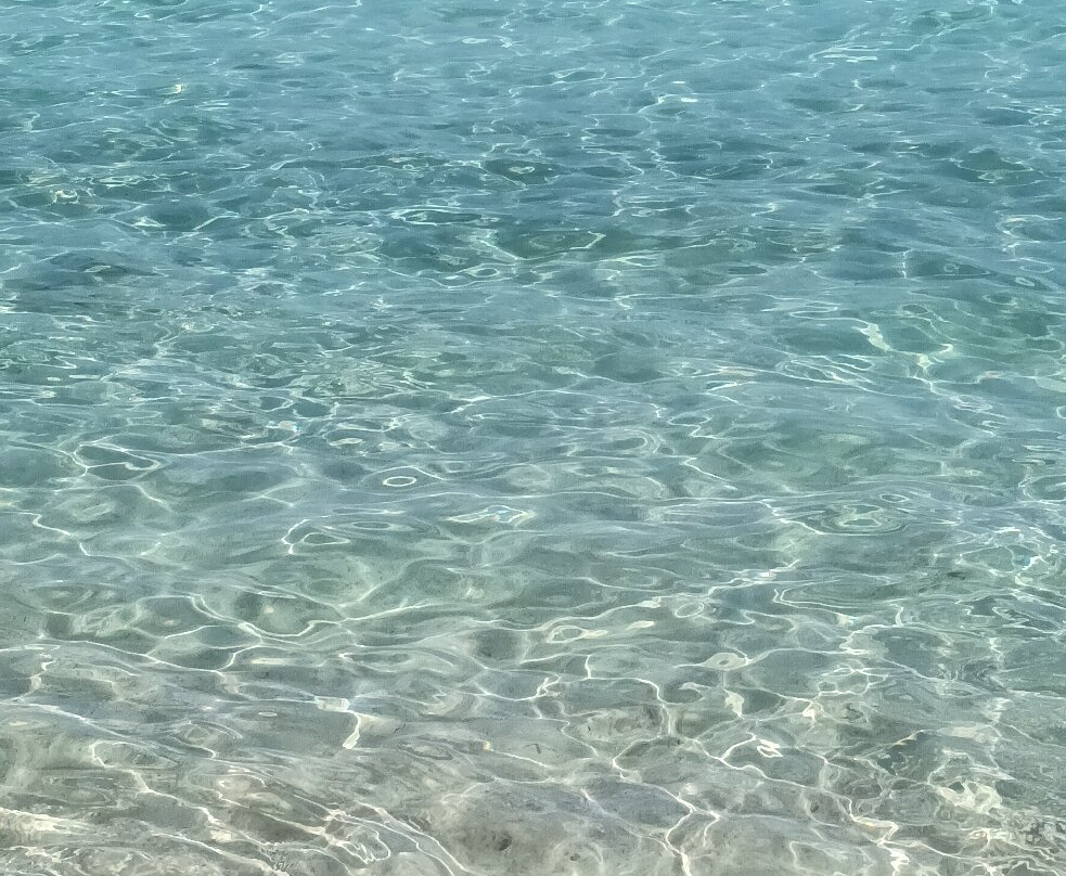 Consorzio Delle Bocche-圣特雷莎加卢拉必去景点