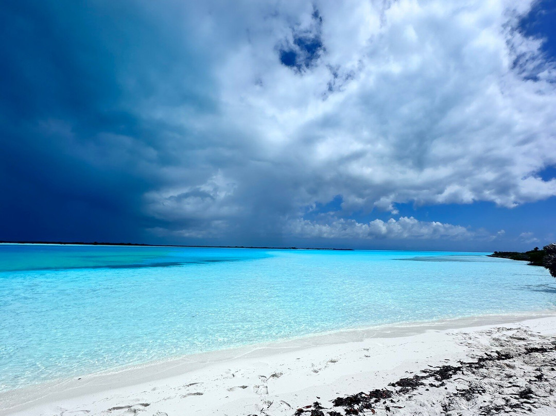 Bahamas Discovery Quest-长岛必去景点