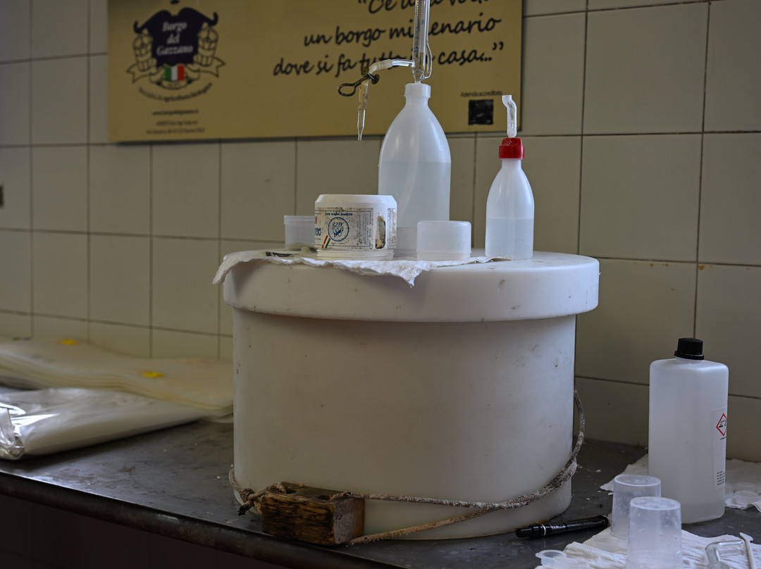 Borgo del Gazzano-帕尔马必去景点