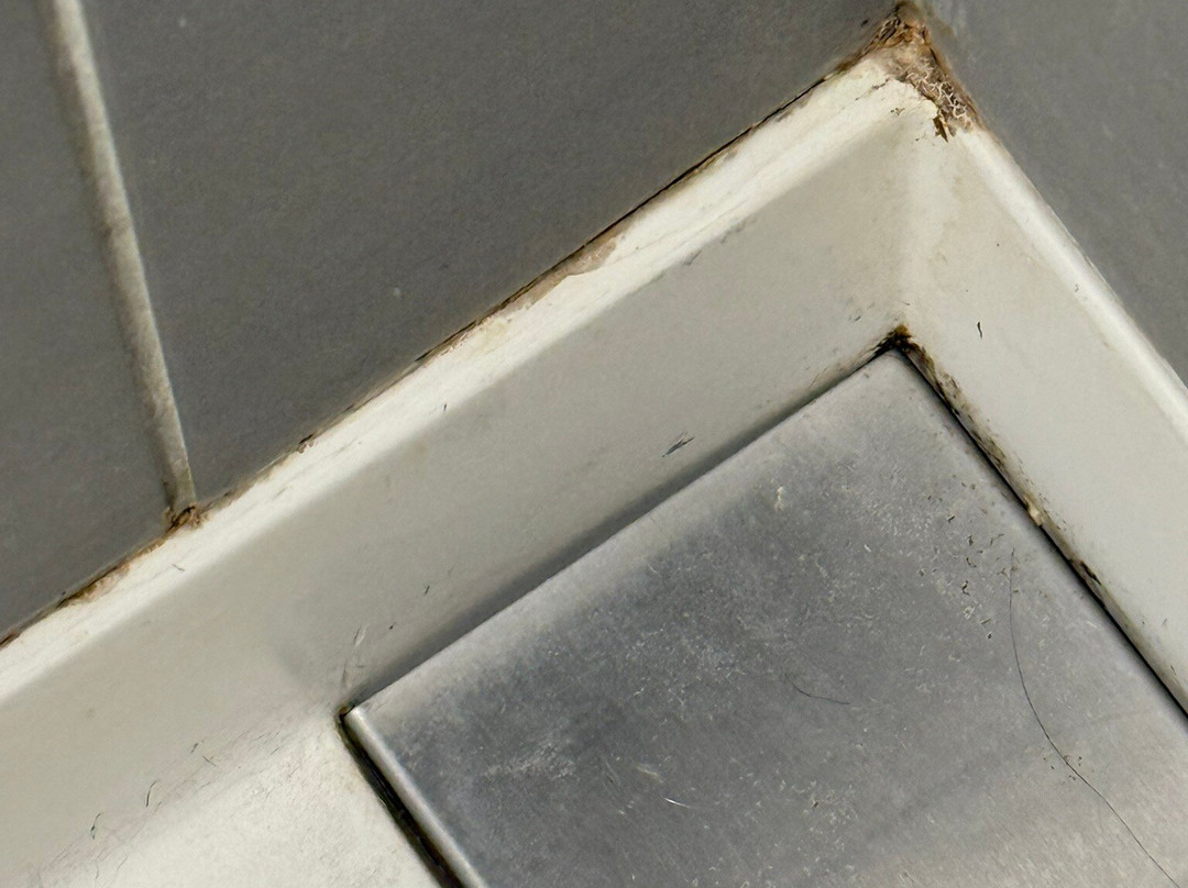 奥尔巴尼万豪酒店主图