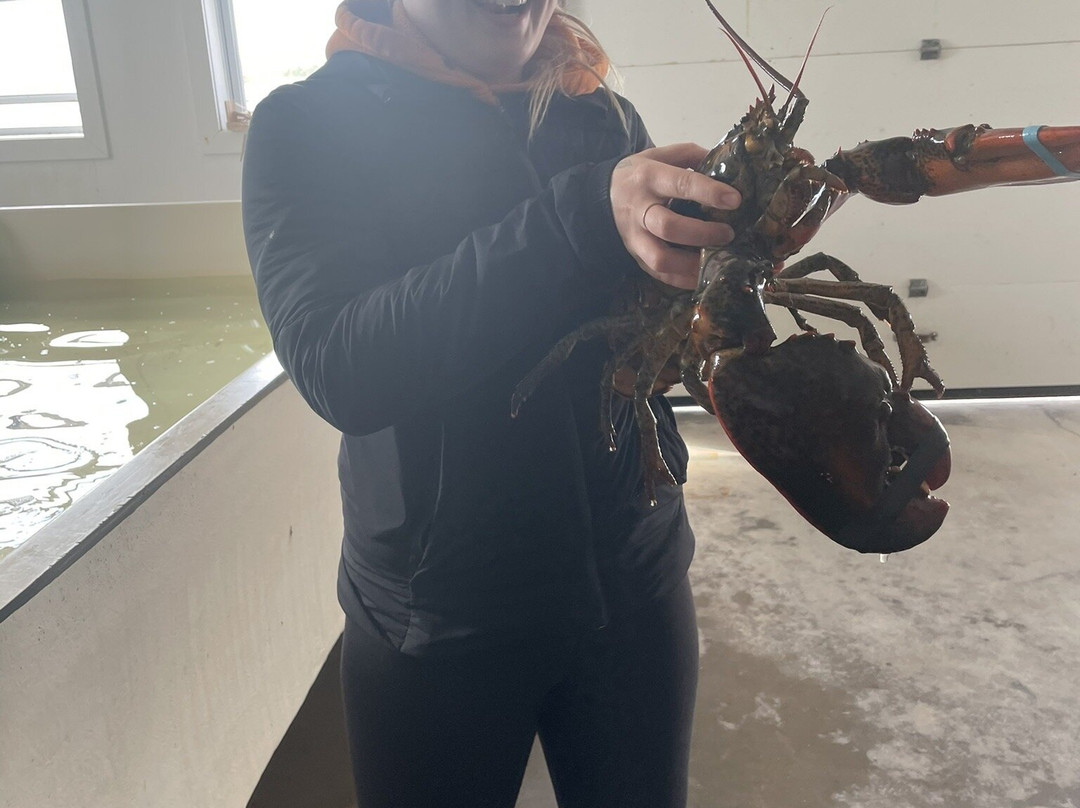 Salmon Bay Farm-Salmon Bay必去景点