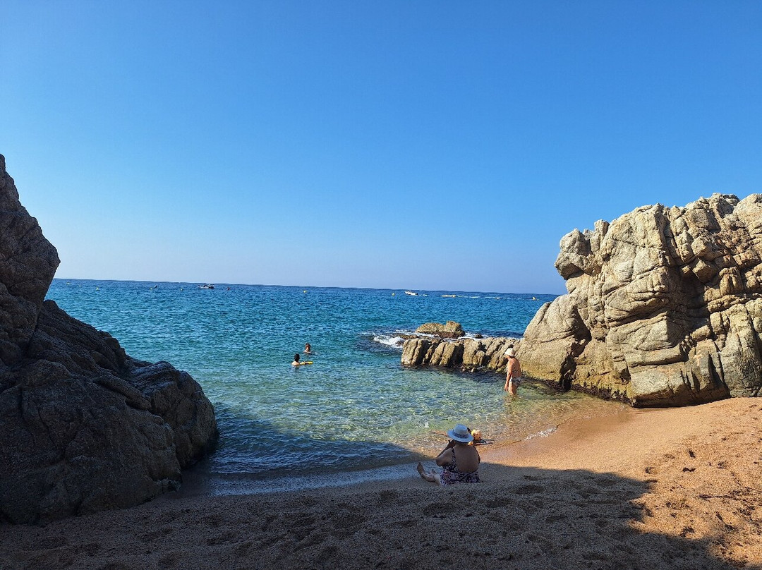 Platja de Canyelles-犹兰特德玛必去景点