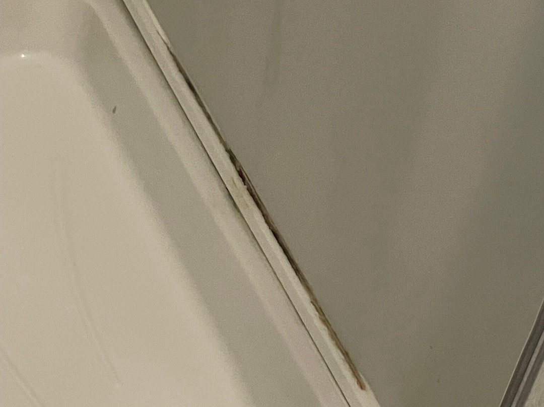 The George Inn主图