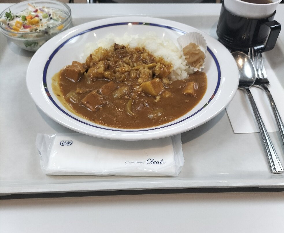 Toyota Automobile Museum-长久手市必去景点