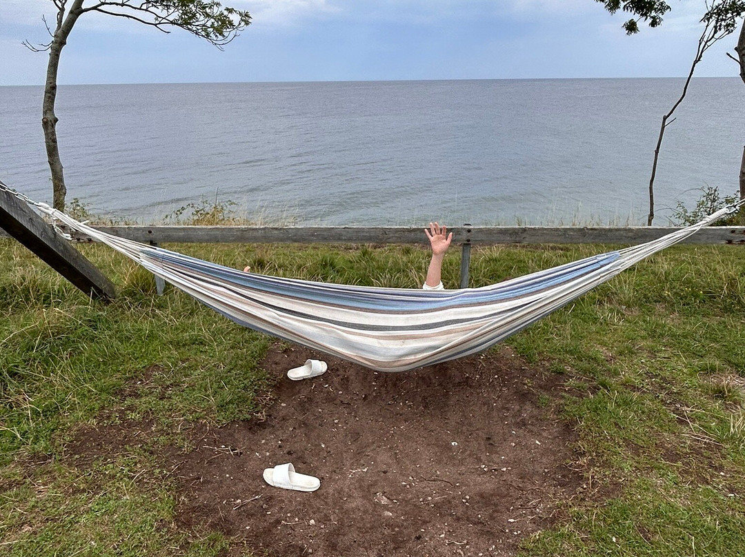 Kneippbyn Resort-维斯比必去景点