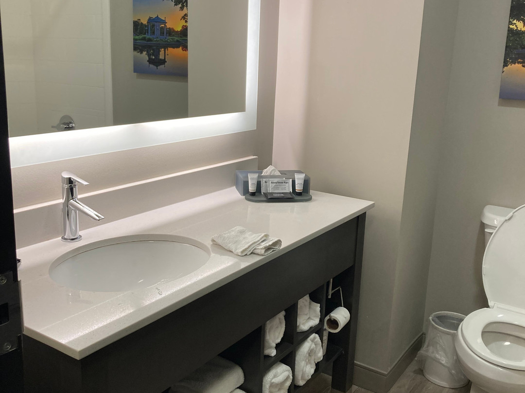 La Quinta Inn & Suites by Wyndham St Louis Route 66主图