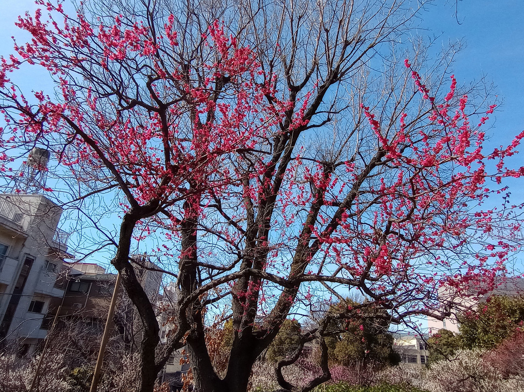 Hanegi Park-世田谷区必去景点