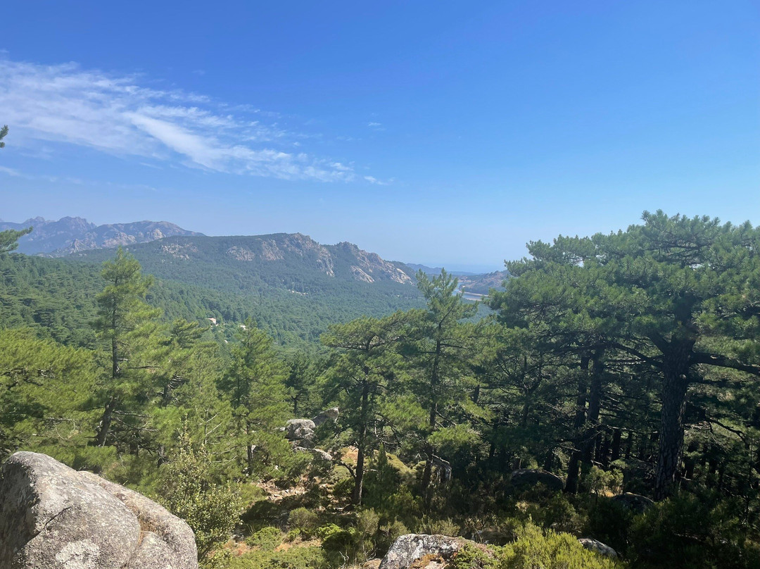 Foret de l'Ospedale-维琪奥港必去景点