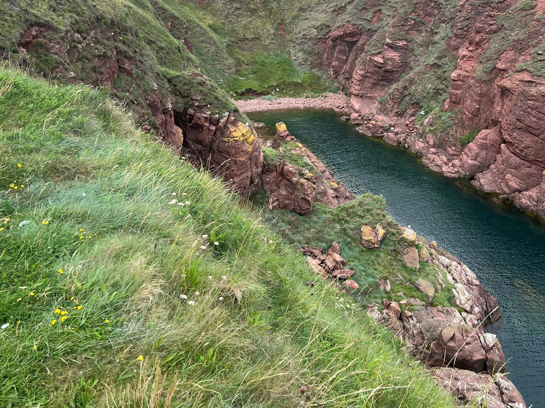 Arbroath Cliffs-Arbroath必去景点