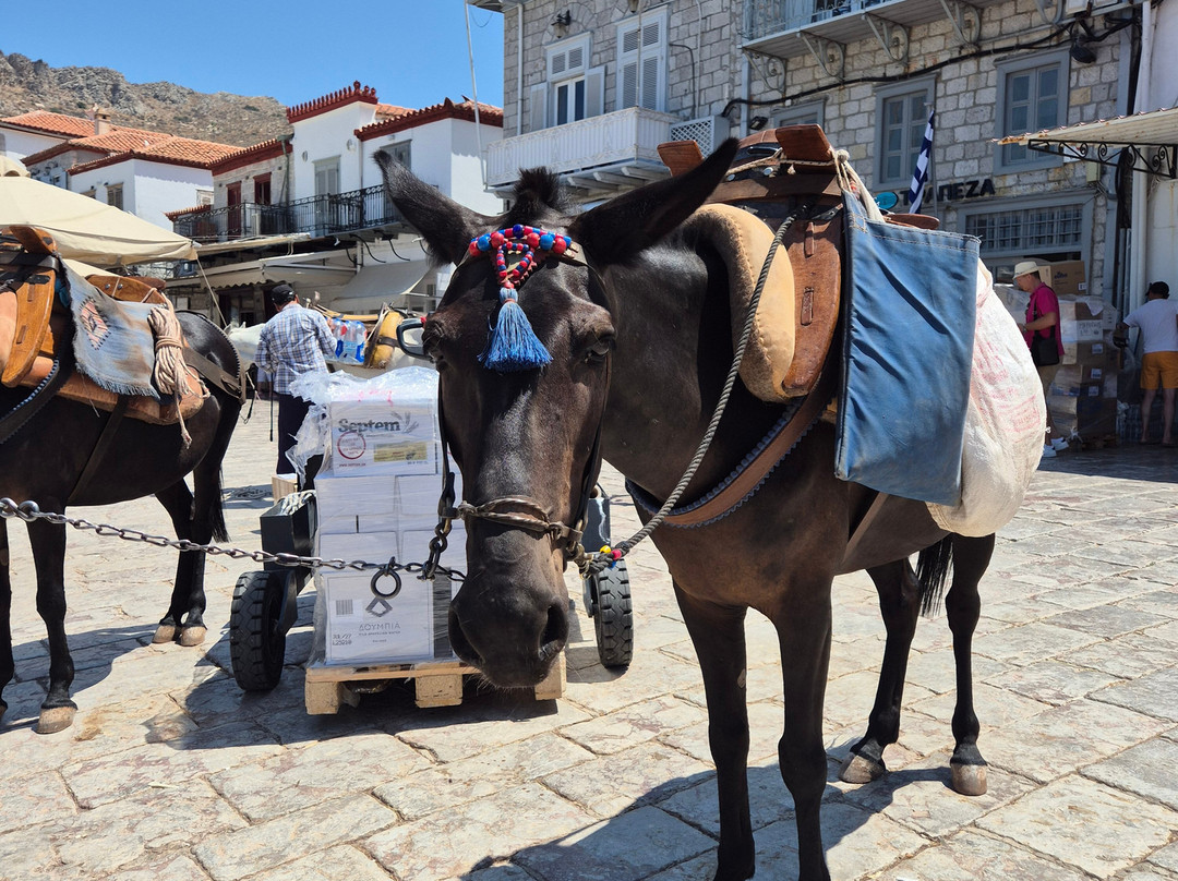 Pegasus Cruises-Tolon必去景点