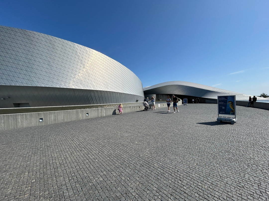 丹麦国家水族馆-哥本哈根必去景点