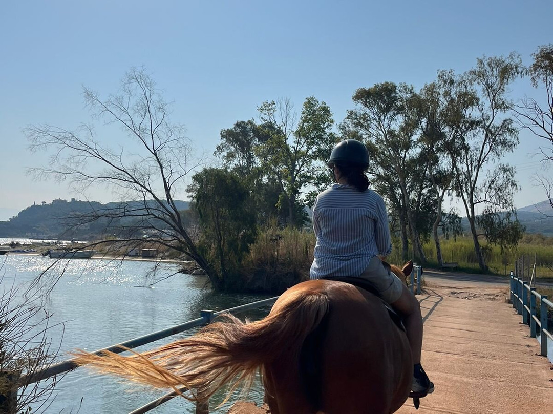 North Corfu Horses-Peritheia必去景点