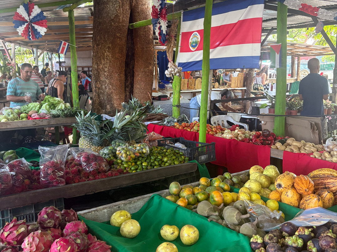 TICO SPANISH-蒙特祖玛必去景点