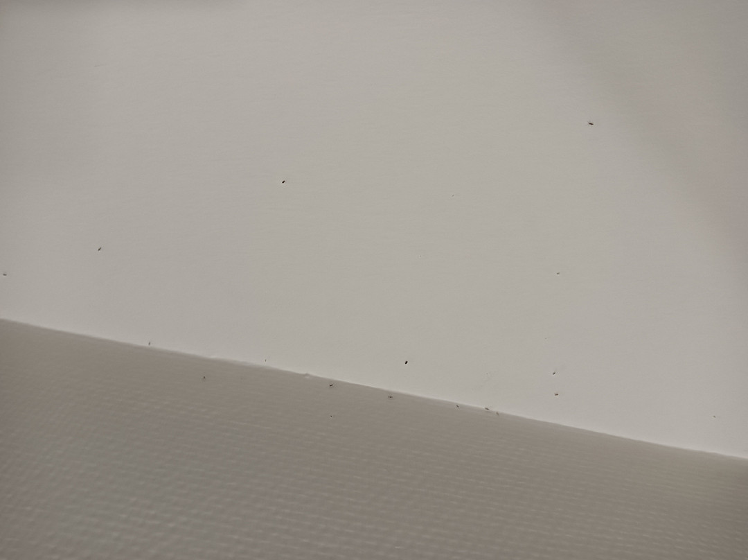 Hotel Le Boischaut主图