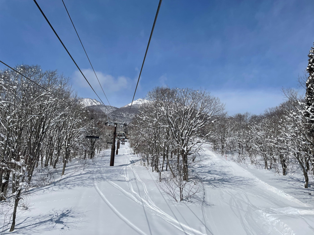Akakan Ski Area-妙高市必去景点