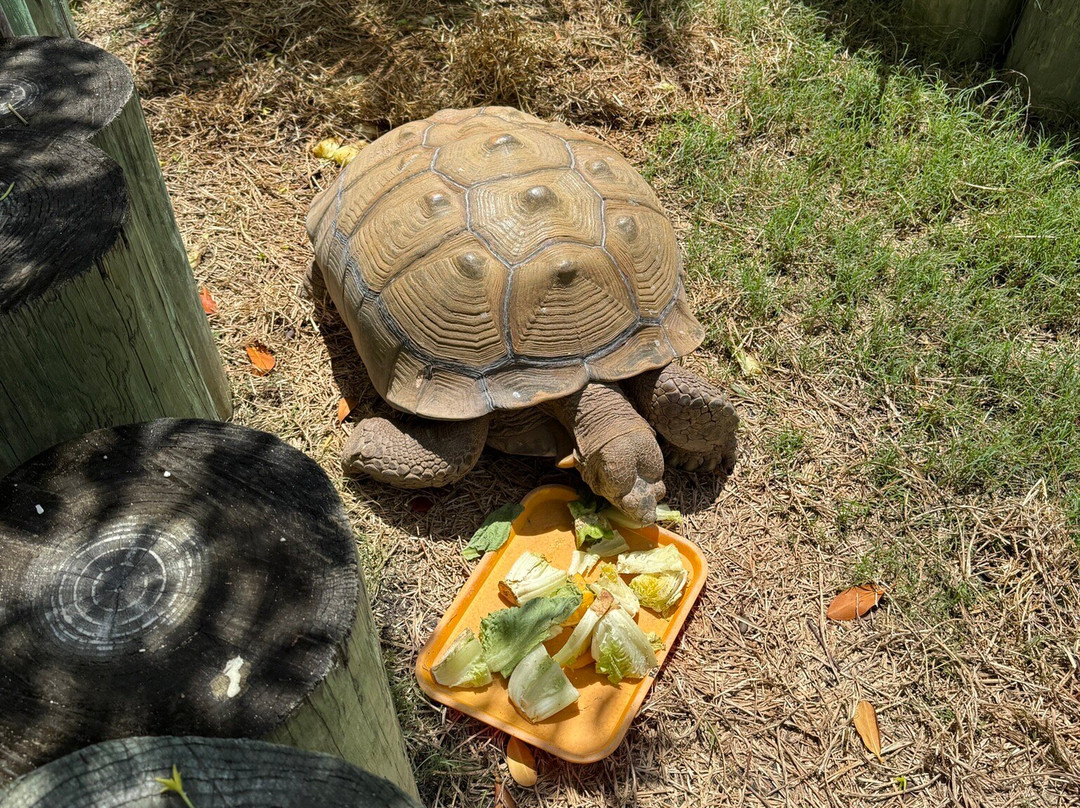 Florida Keys Aquarium Encounters-马拉松必去景点