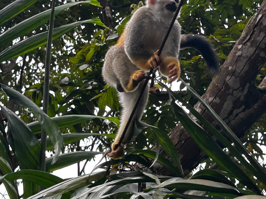 Sol Tropical Day Tours-圣何塞必去景点