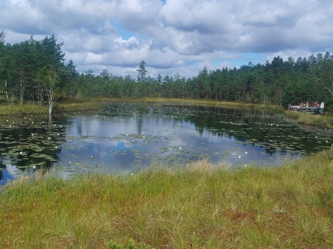 Mukri Bog-Kehtna必去景点