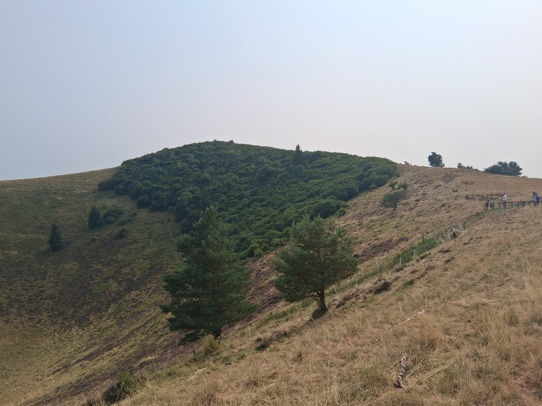 Le Puy du Pariou-Orcines必去景点