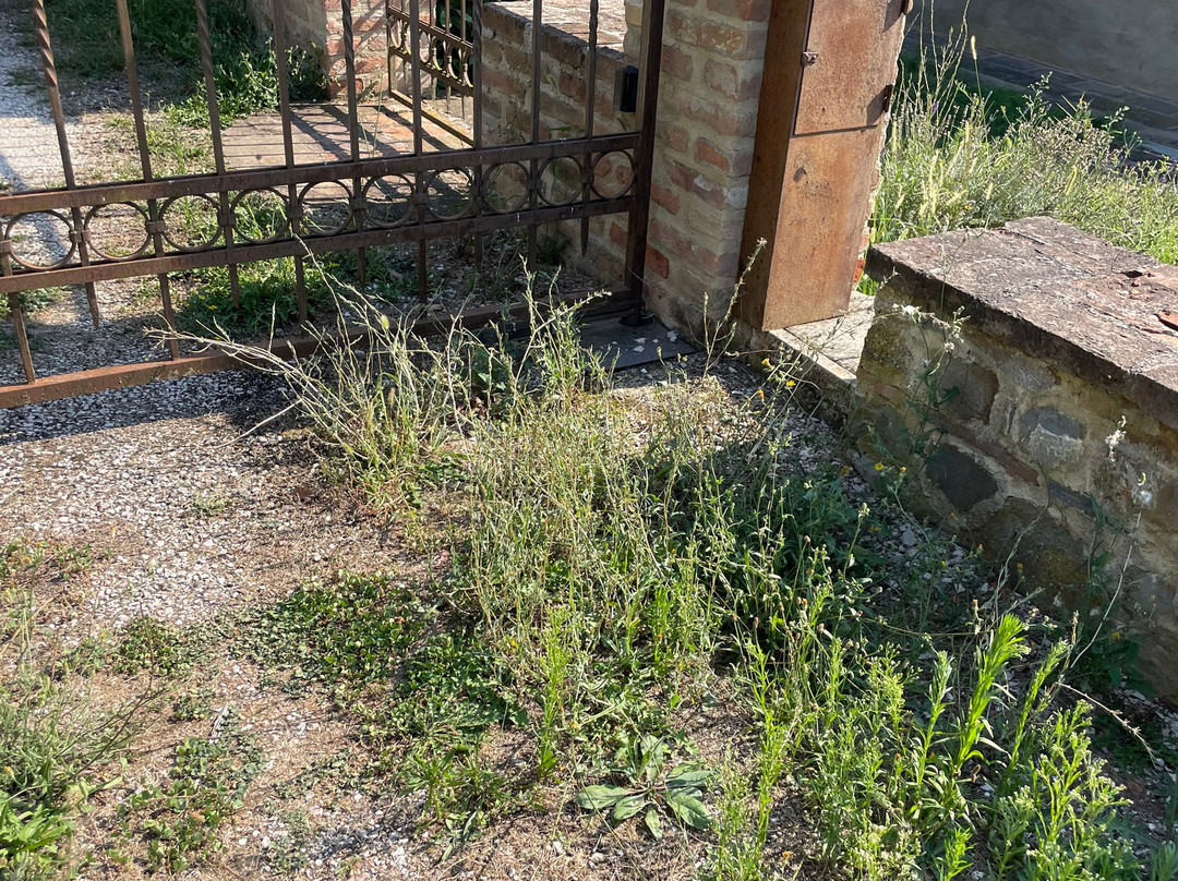 Il Fienile e Il Borghetto