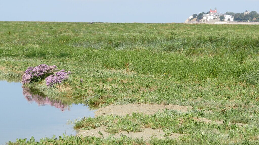 Passion Baie de Somme-Le Crotoy必去景点