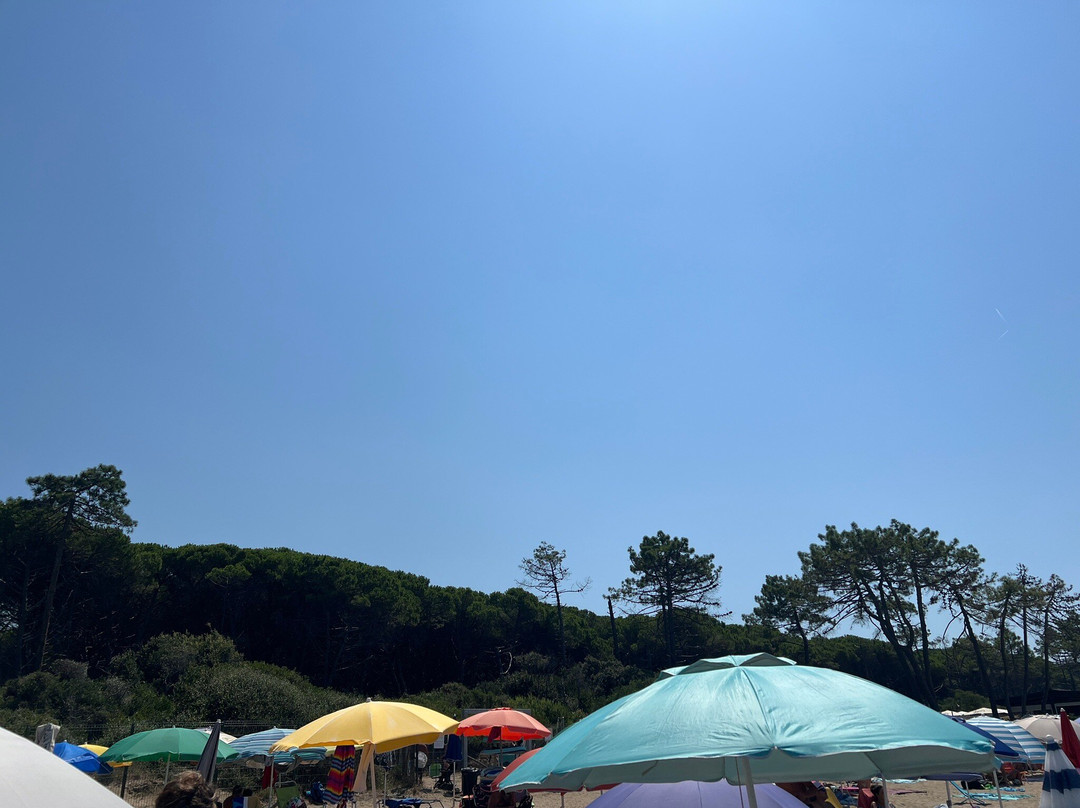 Campeggio Baia Verde-Punta Ala必去景点
