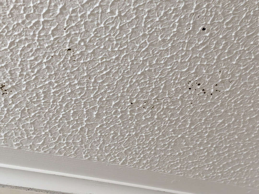 Travelodge Bicester Cherwell Valley M40主图