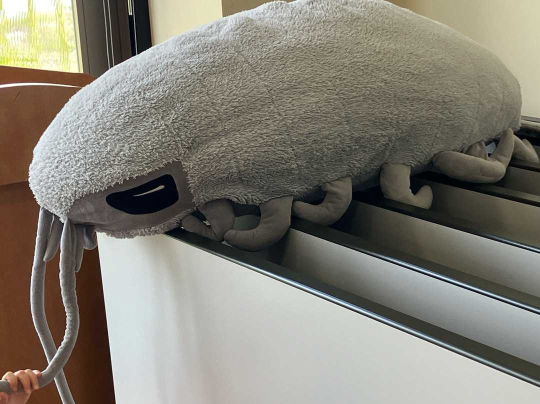 Deep Water Museum-烧津市必去景点