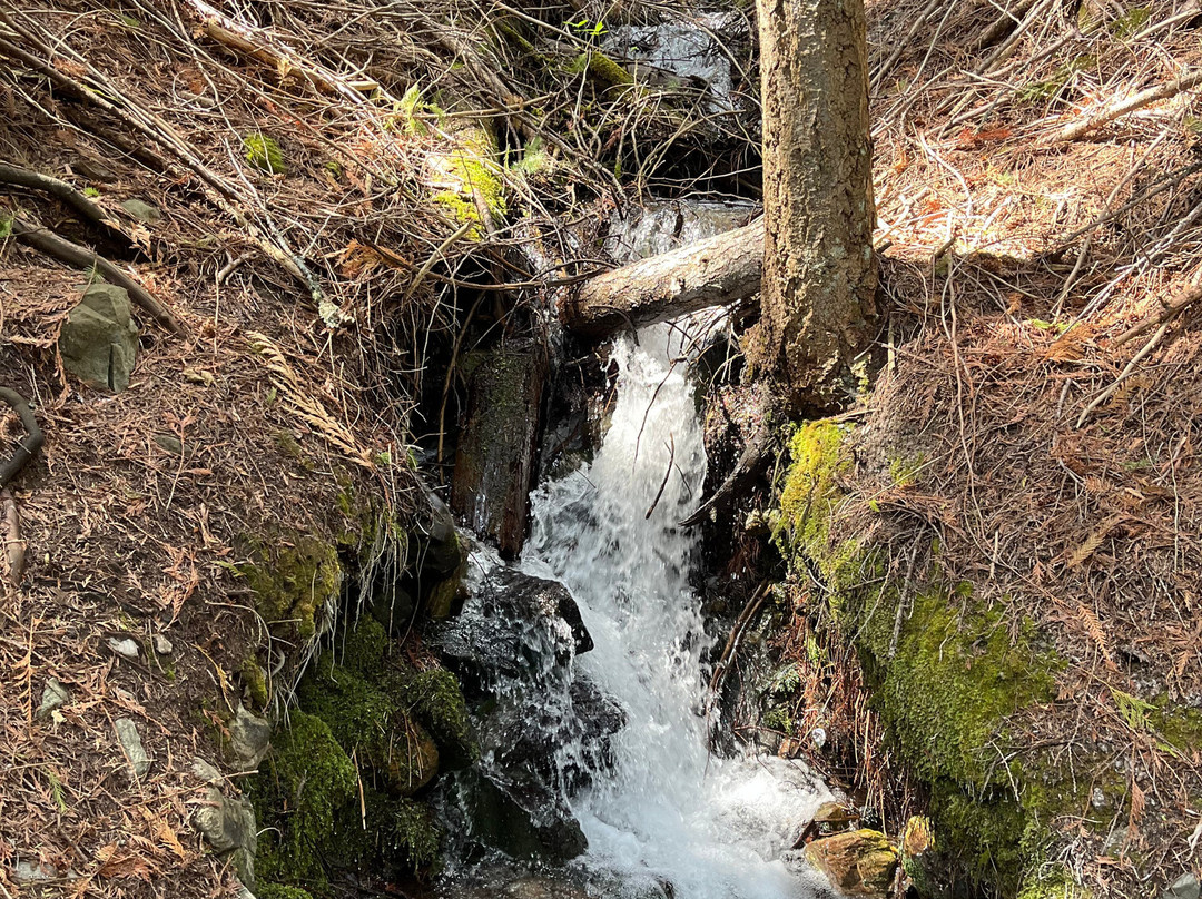 Wing Creek Resort主图