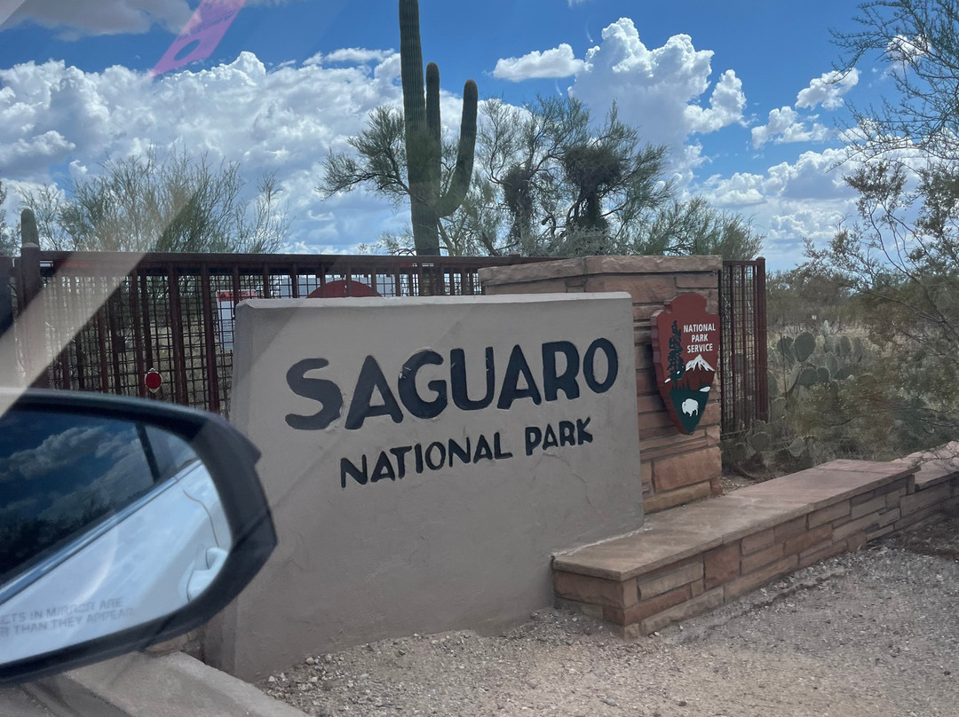 Saguaro National Park-图森必去景点