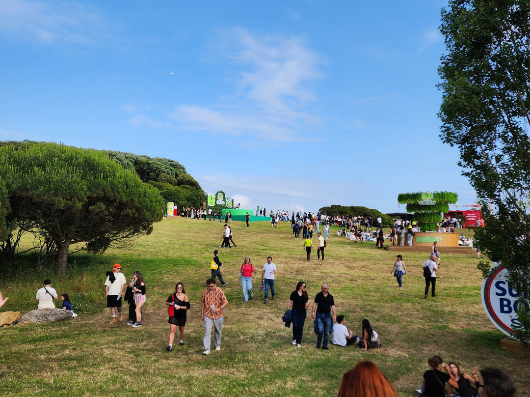 Parque da Cidade-波尔图必去景点