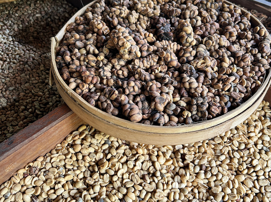 Team Bali Tour-努沙杜瓦必去景点