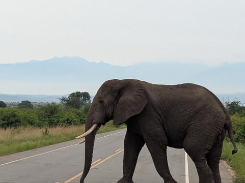 Buyaga Safaris Ltd-坎帕拉必去景点