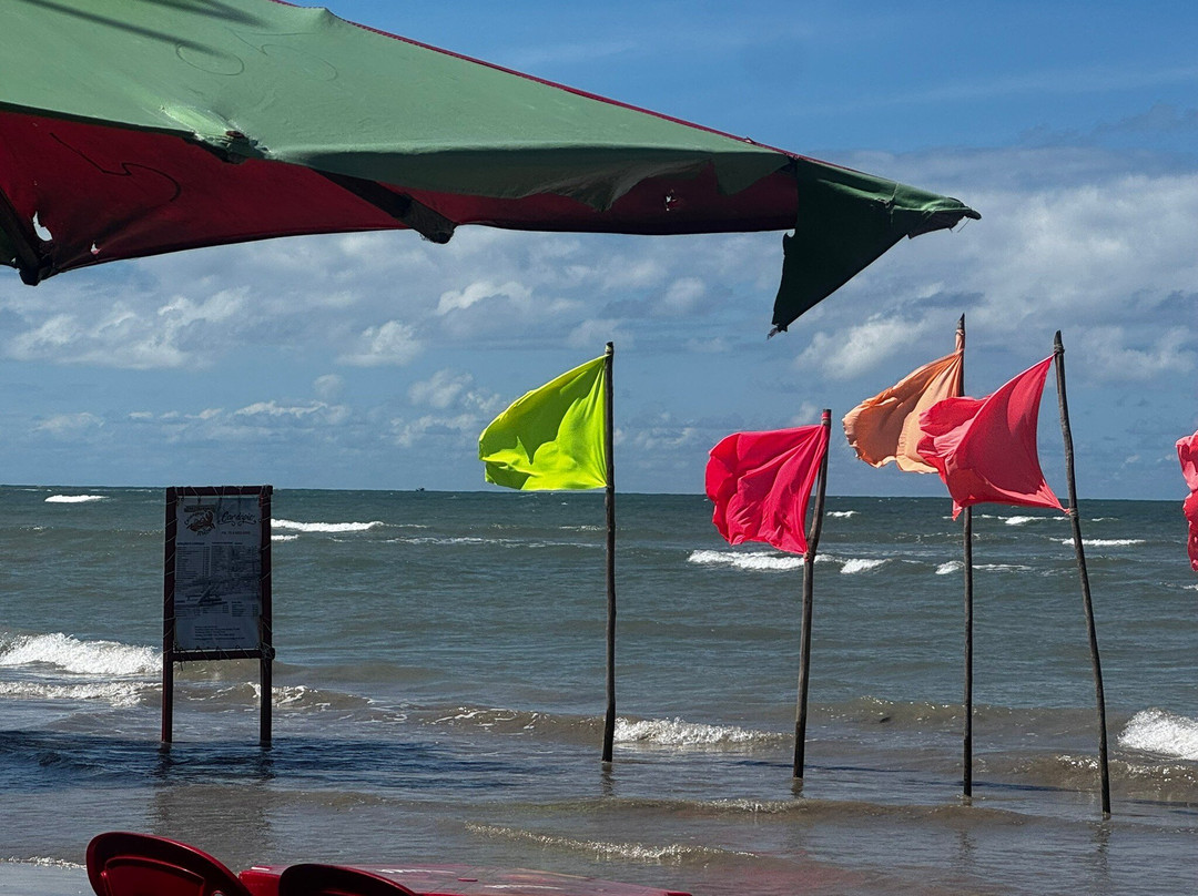 Caranguejo Da Teresa