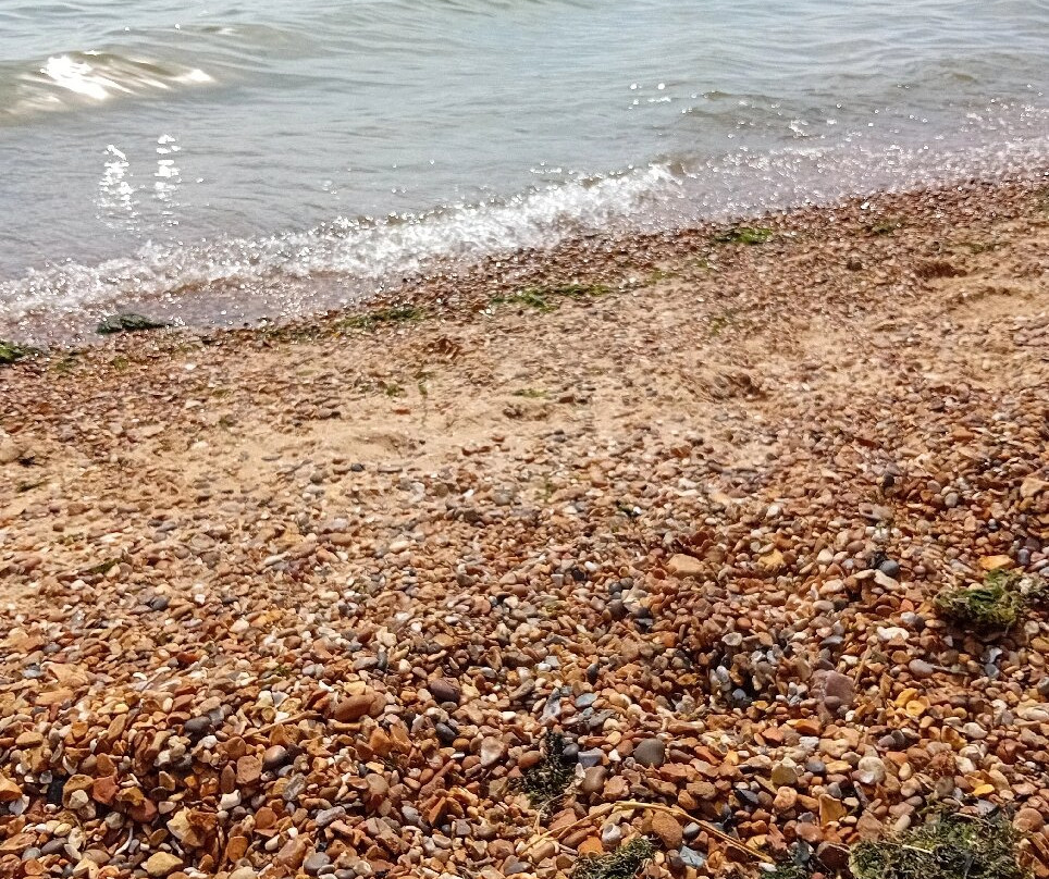 Chalkwell Beach-滨海绍森德必去景点