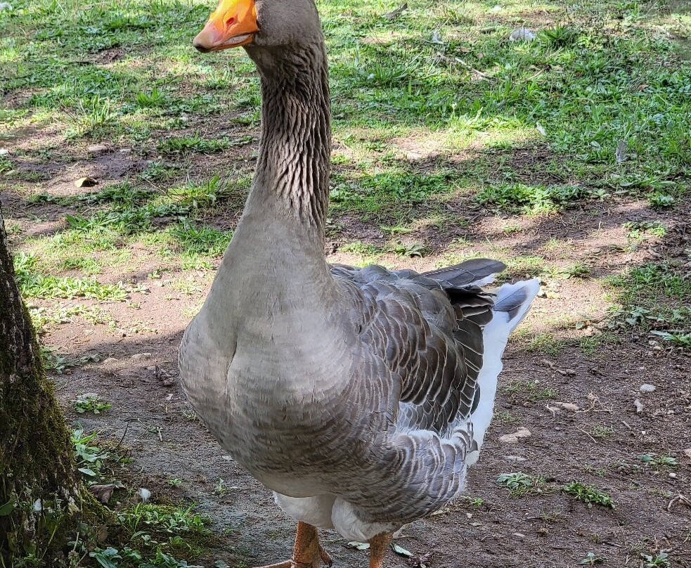 La Ferme de Turnac-Domme必去景点