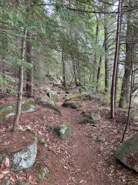 Wellington State Park-Bristol必去景点