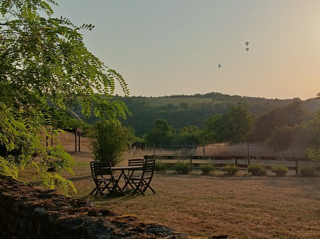 Domaine Lagardelle主图