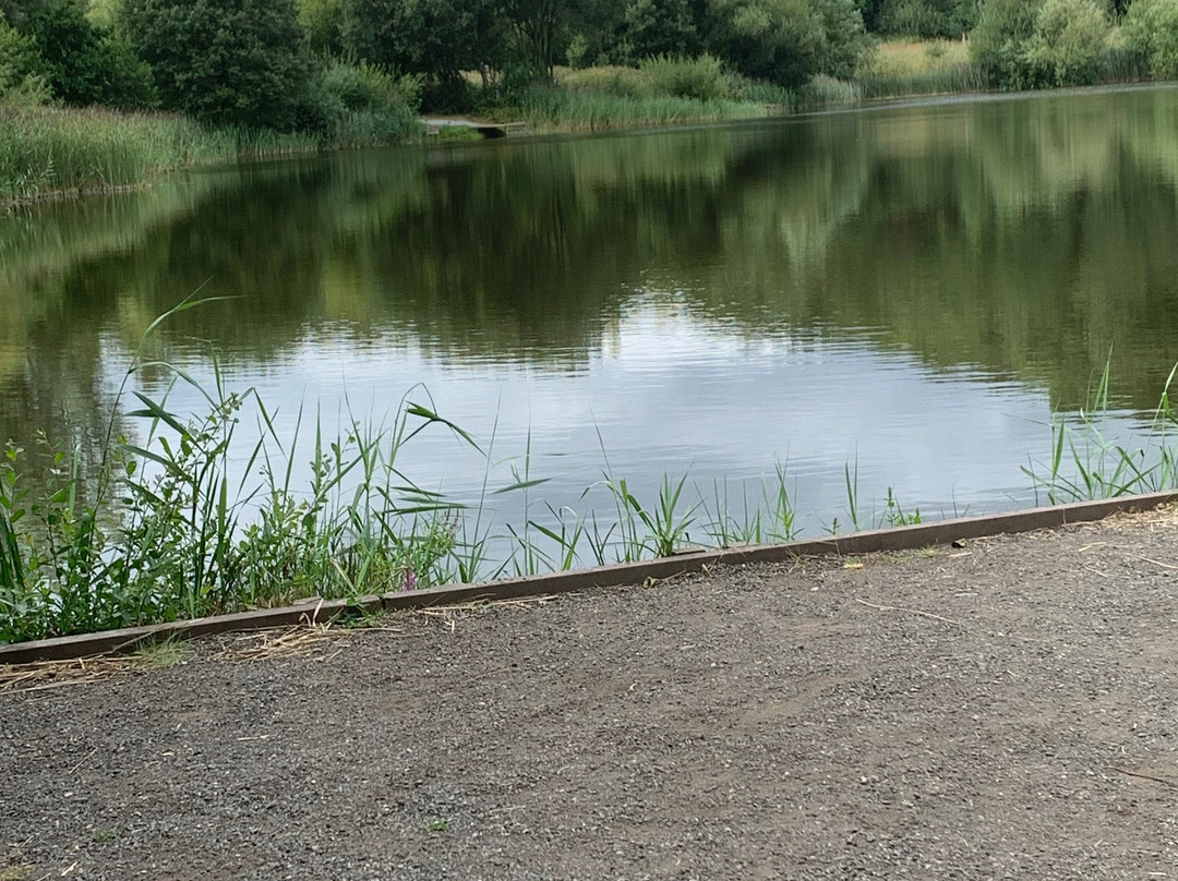 Brockholes Nature Reserve-普雷斯顿必去景点