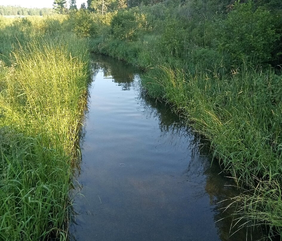 Mississippi Headwaters State Forest-伯米吉必去景点