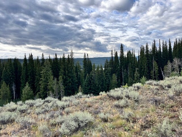 Redfish Lake Corrals- Mystic Saddle Ranch-Stanley必去景点