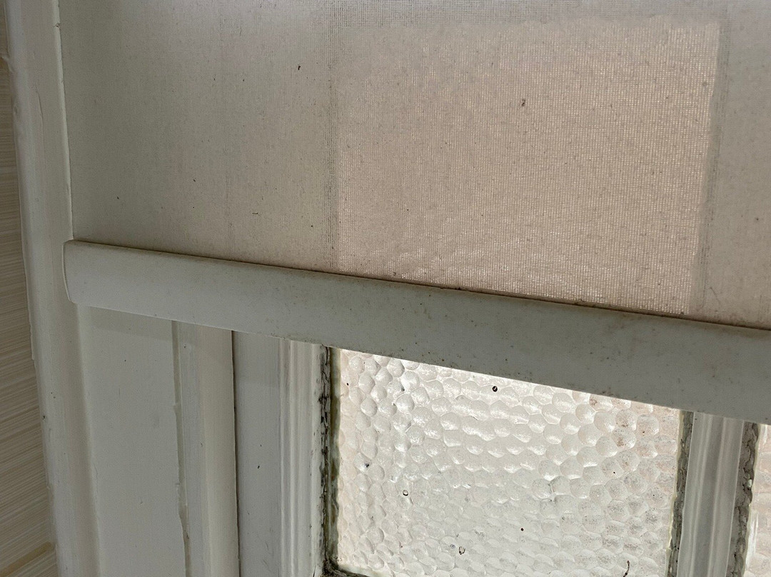 金羊毛酒店主图