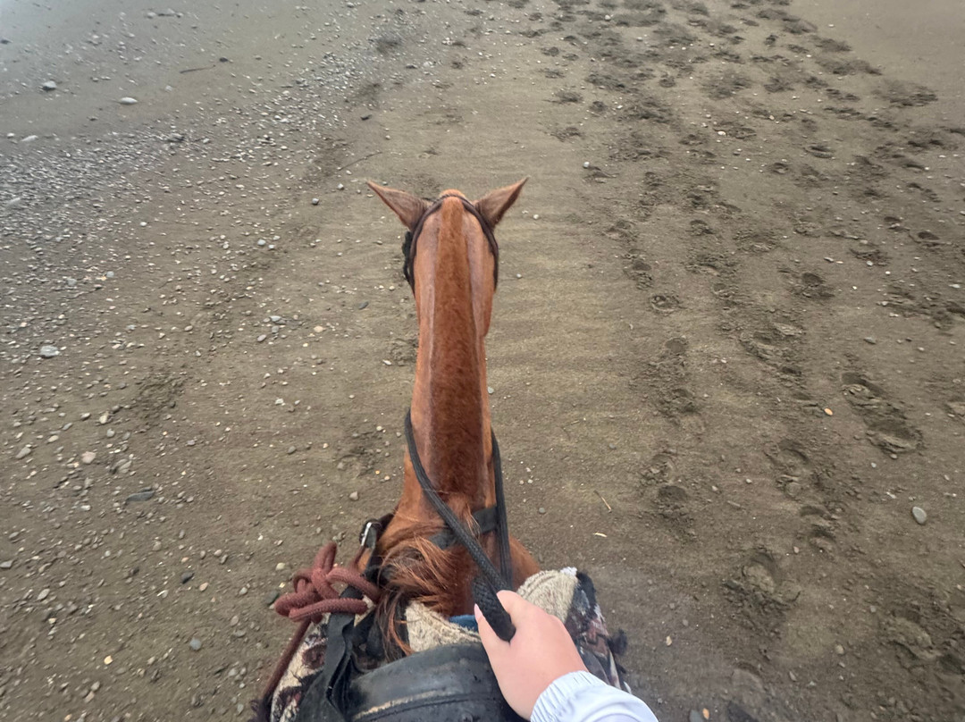 Rancho La Merced National Wildlife Refuge-乌维塔必去景点