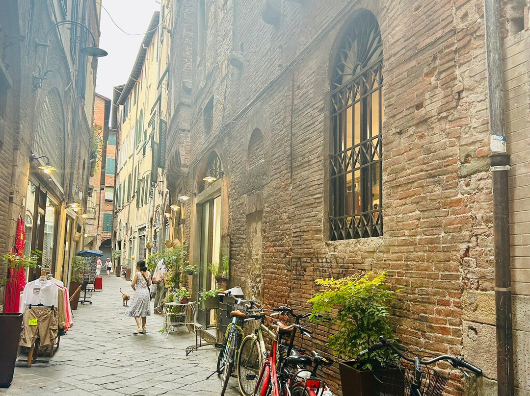 Nicola Scovenna - Tuscan Experiences-里窝那必去景点