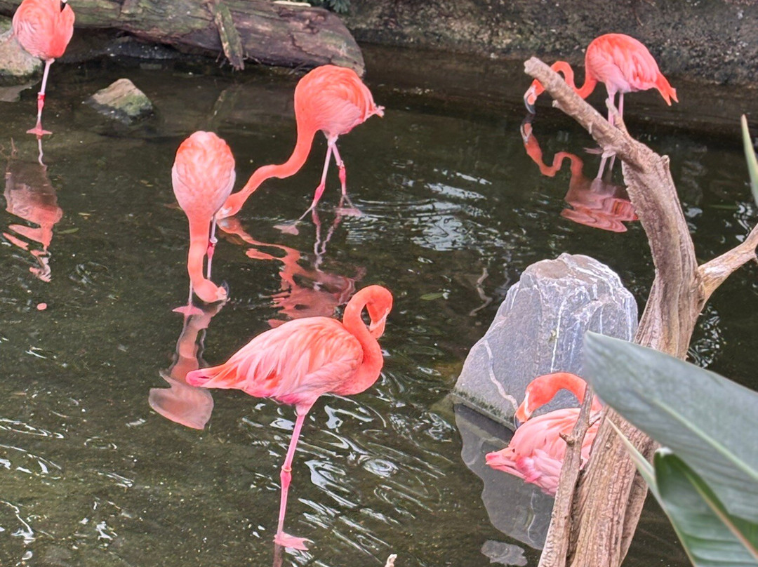 国家鸟类公园-匹兹堡必去景点