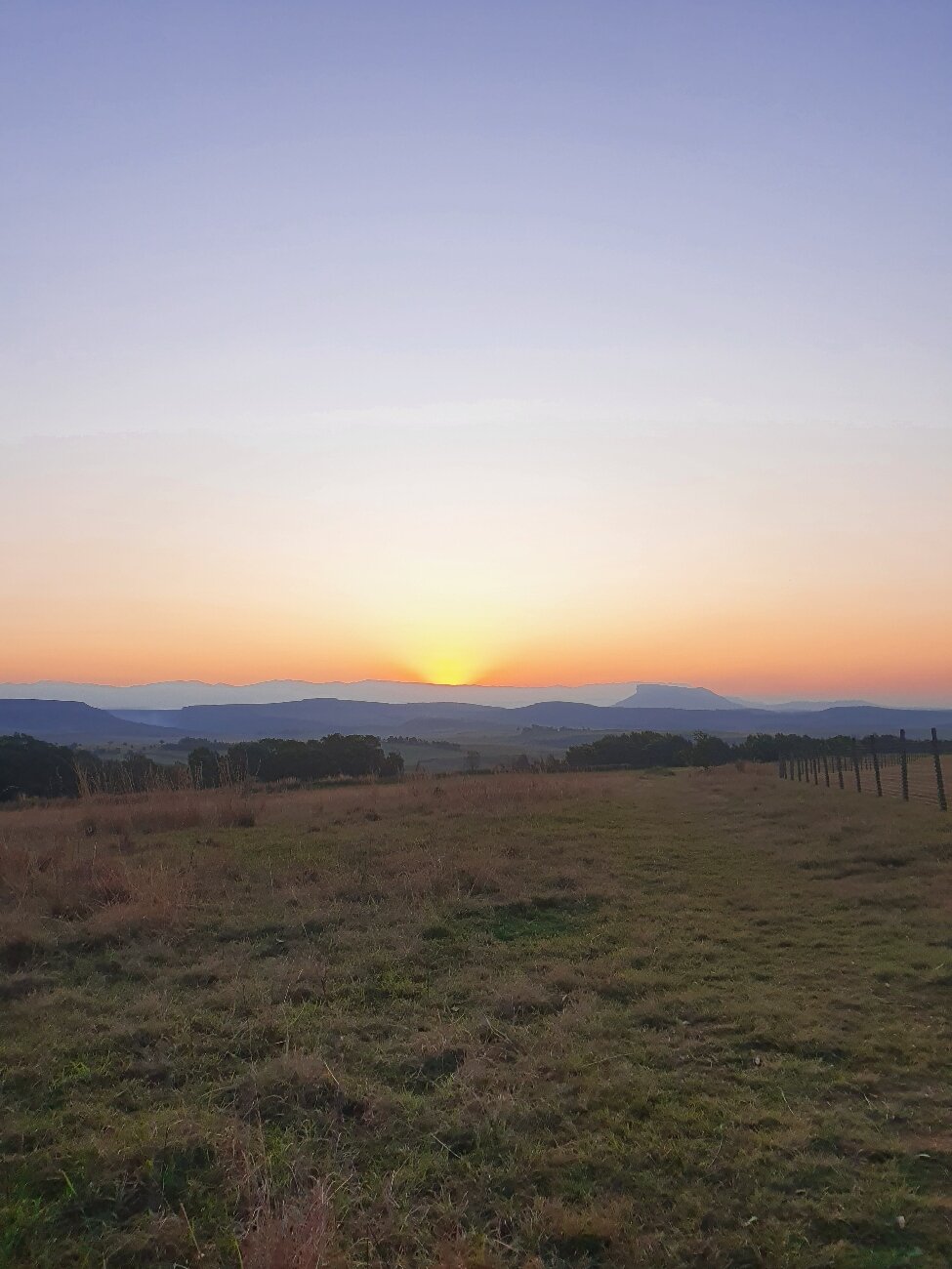 Antbear Lodge-官方