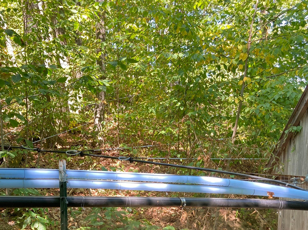 Baird Farm Vermont Maple Syrup-奇滕登必去景点