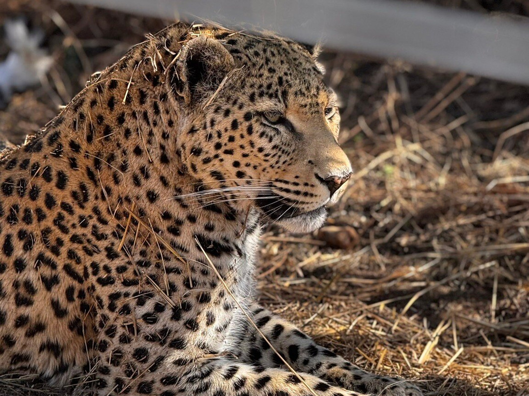Naankuse Wildlife Sanctuary-温德和克必去景点