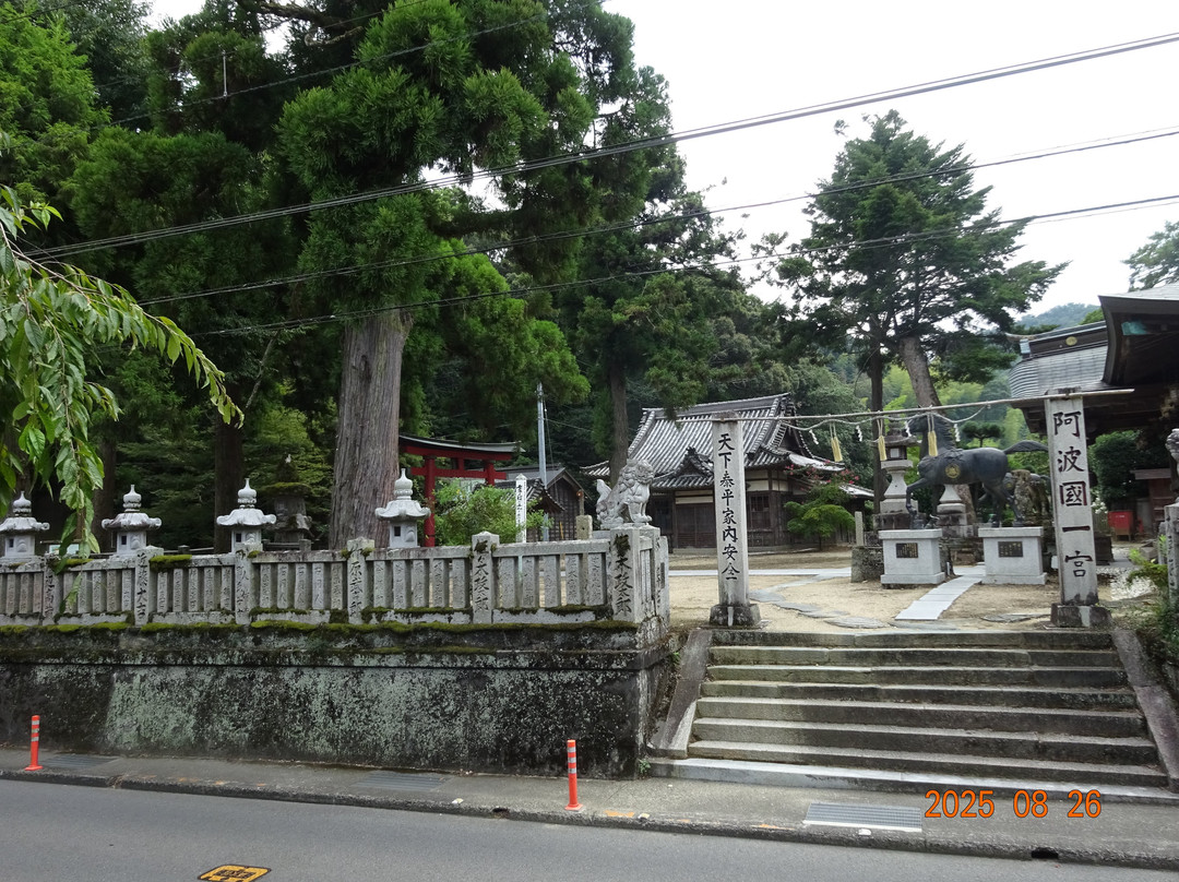 Ichinomiya Shrine-德岛市必去景点